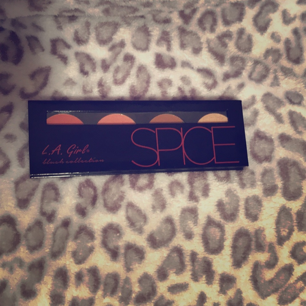 L.A. Girl Spice Palette